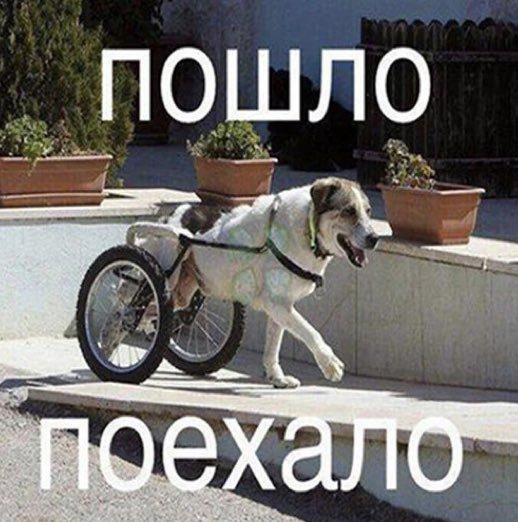 Пошло поехало собака