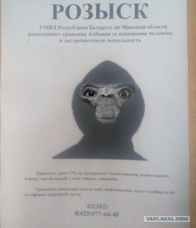 Фоторобот албанца