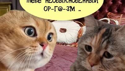 Диалог с девушкой