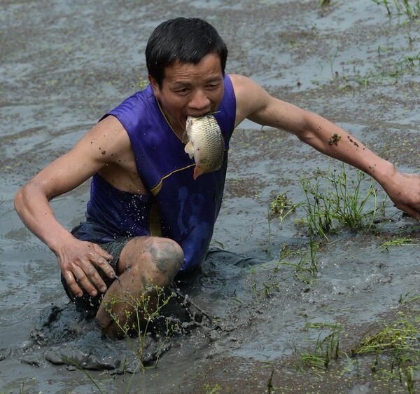 Человек ловит рыбу руками