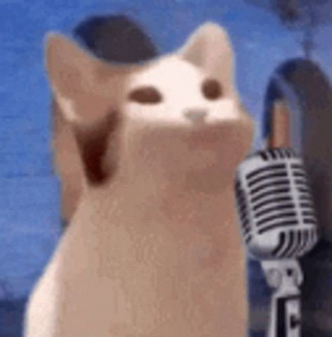 Кот хлопает ртом