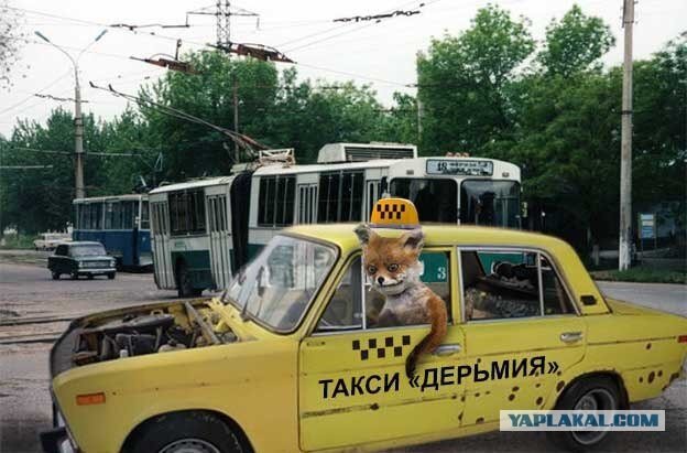 Прикольный таксист