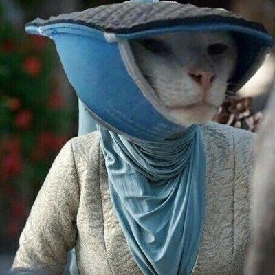 Оленна Тирелл скажи Серсее что это была я