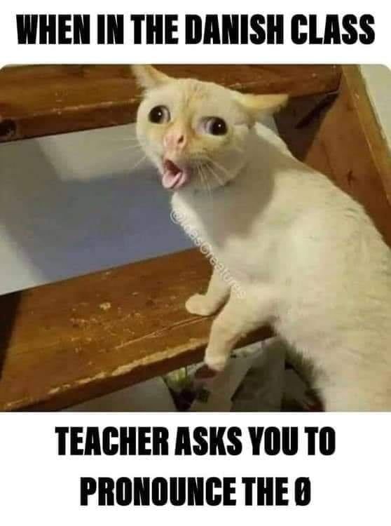 Всратые с котами