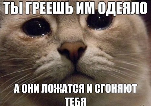 Последний день каникул