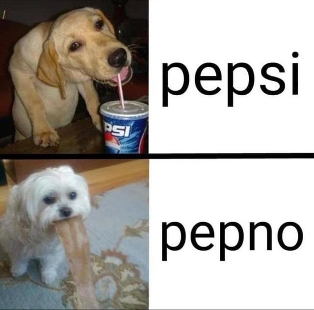 Мемы с собаками