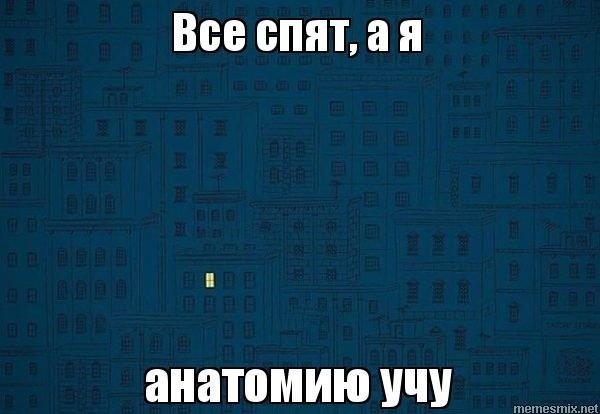 Мемы по анатомии
