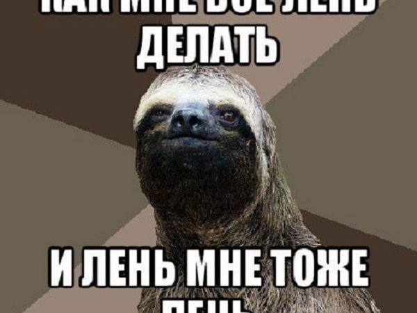 Мемы мне лень