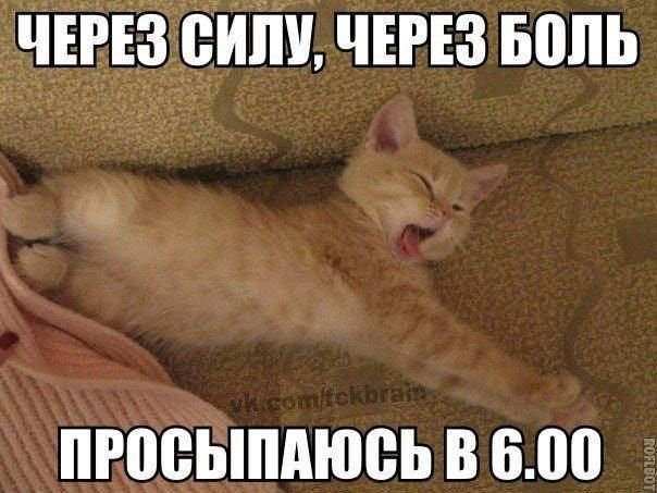 Я проснулась картинки