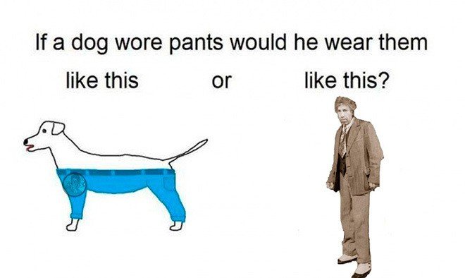 Собака в штанах Мем