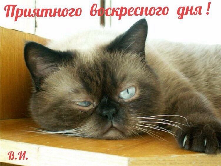 Котеночек проснулся