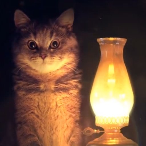Кот лампа