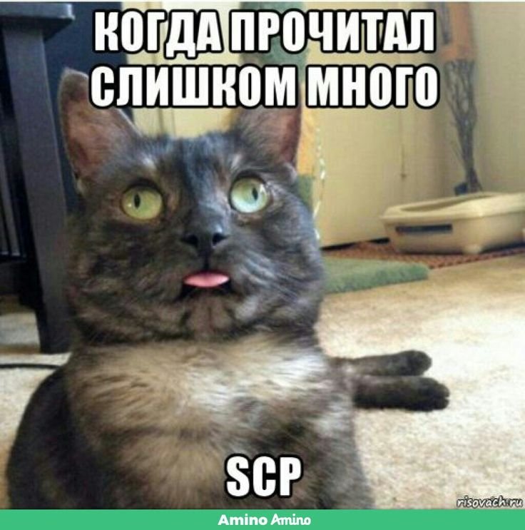 Сигнал потерян