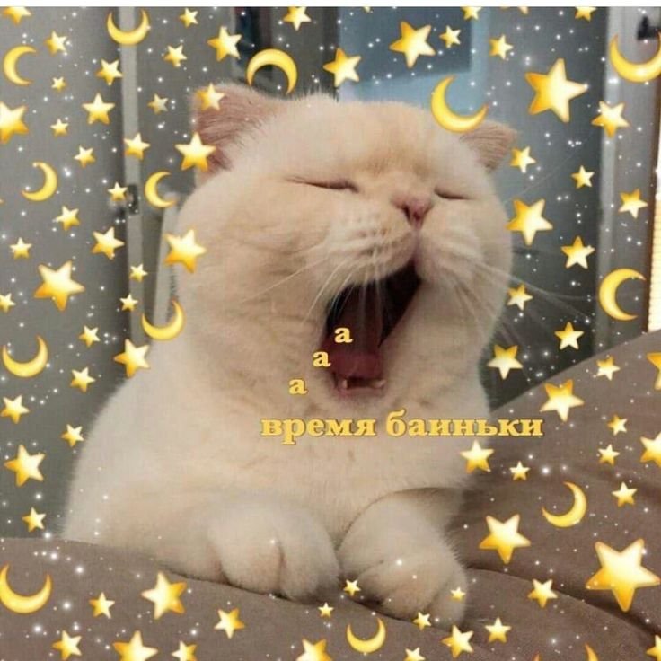 Спокойной ночи котики