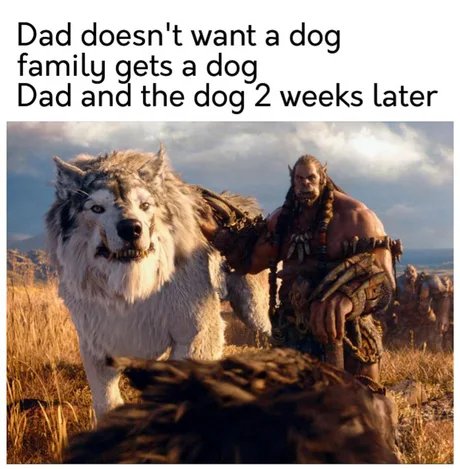 Отец не хочет собаку Мем