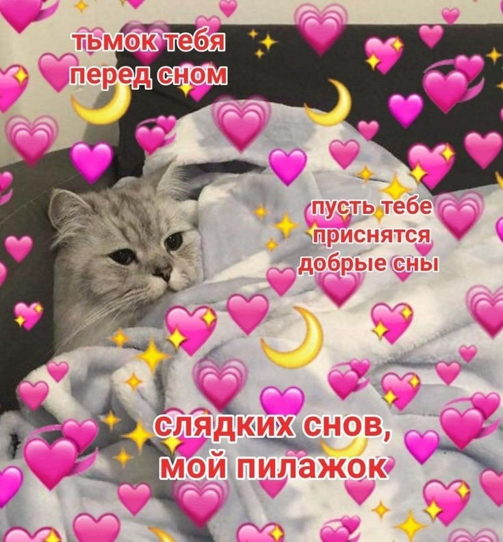 Милые котики с сердечками спокойной ночи