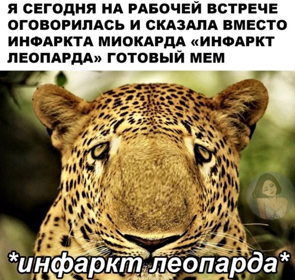 Инфаркт леопарда Мем