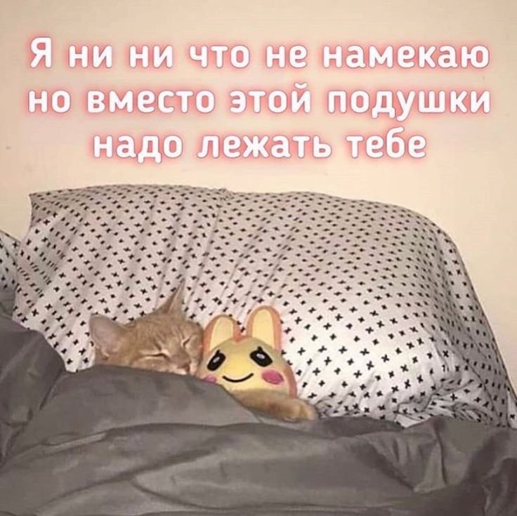 Сладких снов котик
