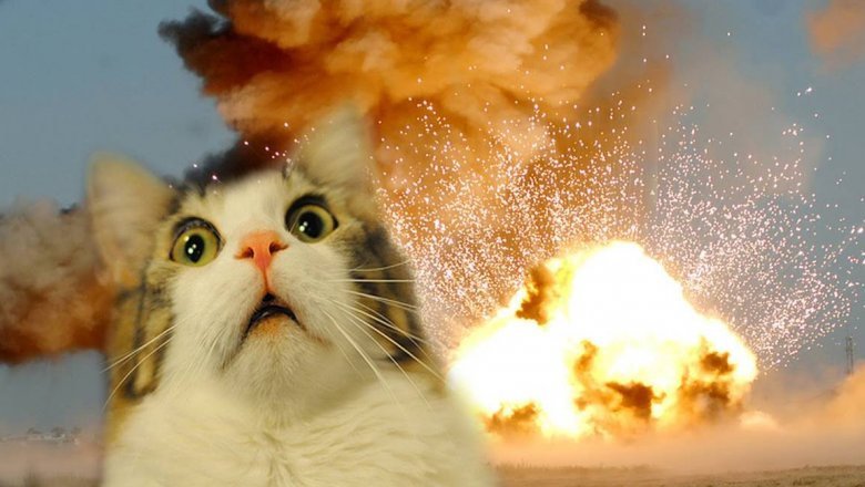 Кот взрыв