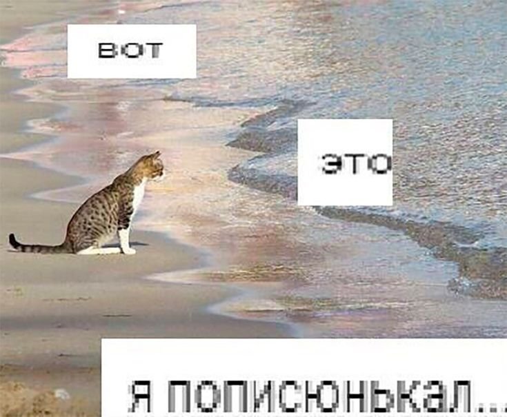 А вот и я Мем