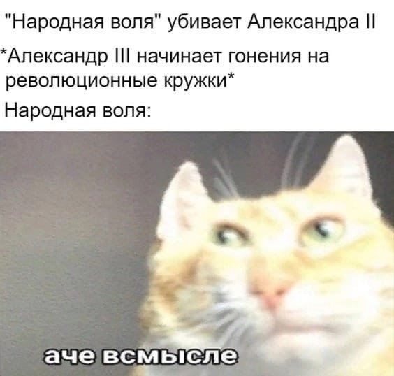Мемы с котиками