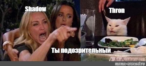 Мем с котом за столом