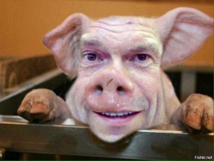 Поросенок с человеческим лицом