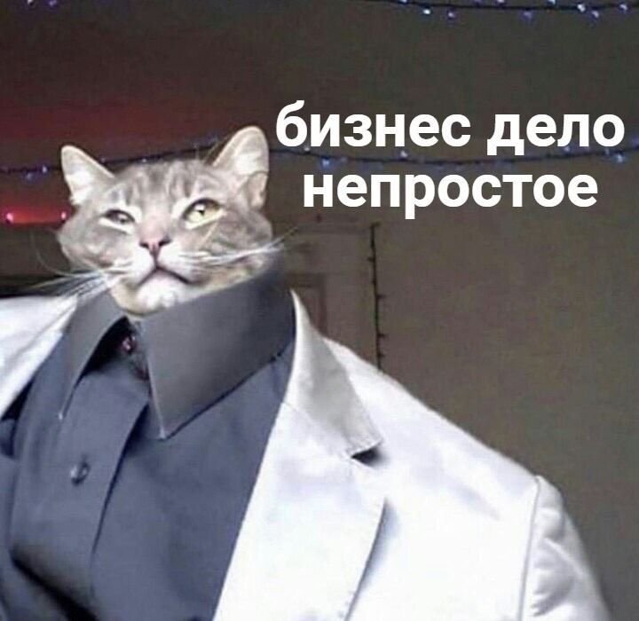 Коты в пиджаках