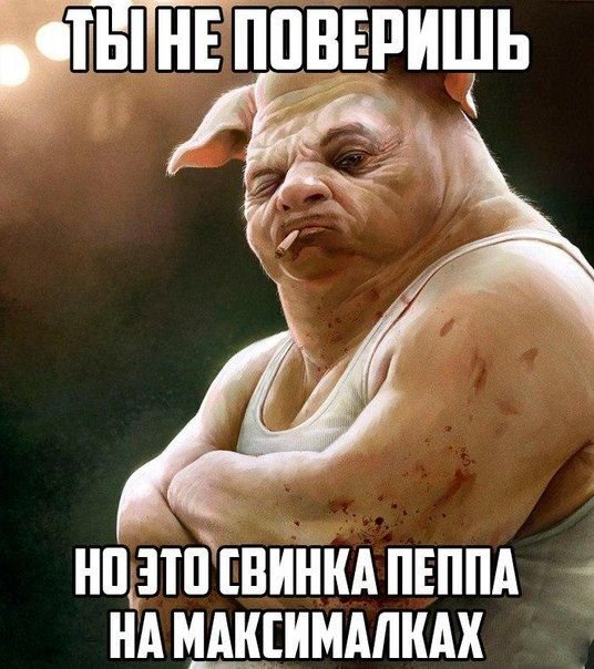 Альфа самец