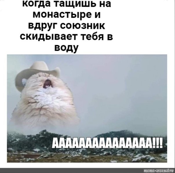 Котик орет Мем