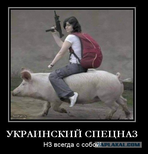 Мужик на свинье верхом