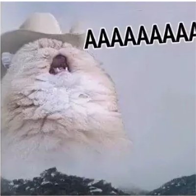 Кричащий кот ааааа
