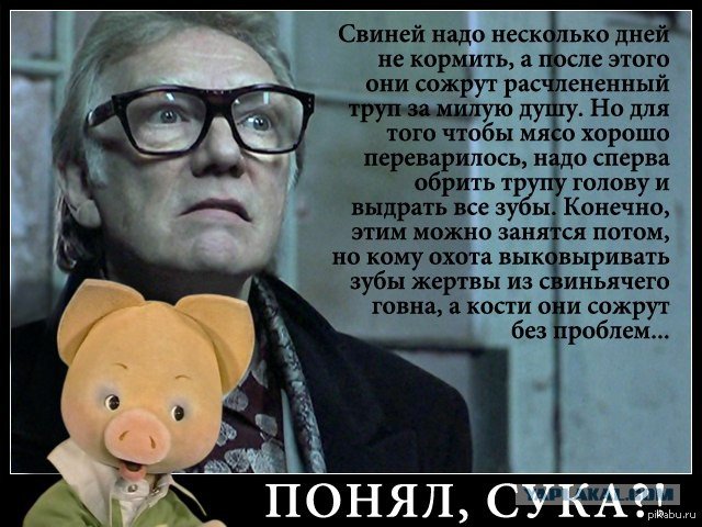 Кирпич большой куш цитаты