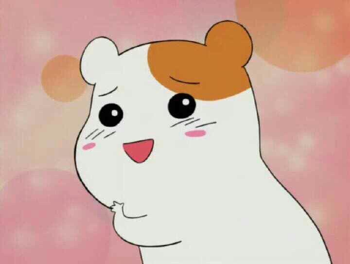Аниме хомяк