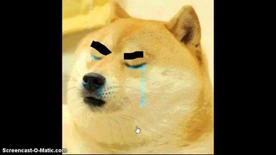 Doge собака