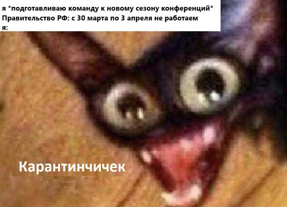 Кот с выпученными глазами Мем