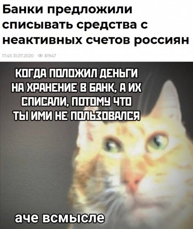 Аче всмысле Мем кот