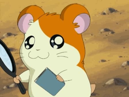 Хомячки Hamtaro