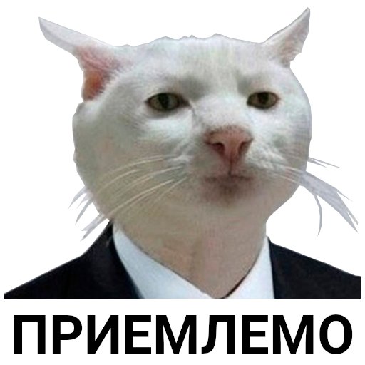 Мем кот приемлемо в пиджаке