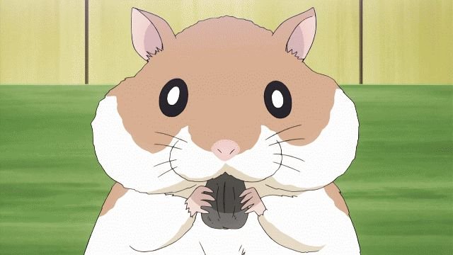 Хомяк на аву