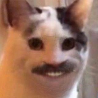 Мемы с улыбающимся котом