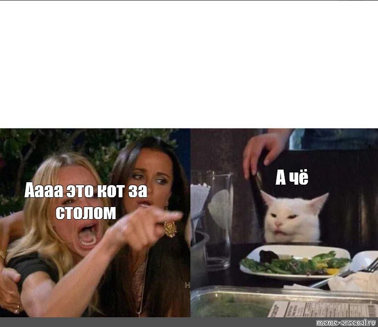 Кот и девушки в ресторане