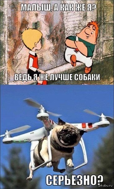 Я ведь лучше собаки