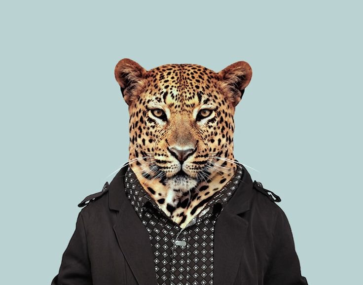 Зоопортреты Timur