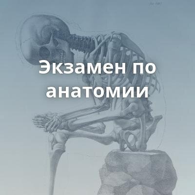 Мемы про экзамен по анатомии