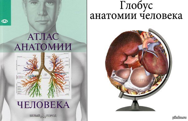 Мемы про анатомию