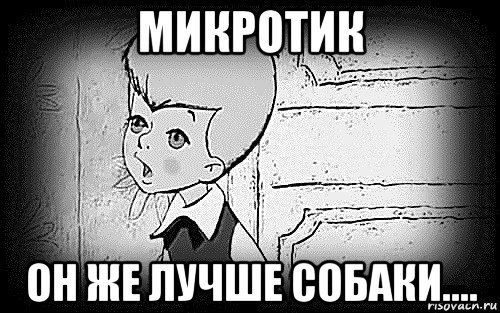Микротик мемы