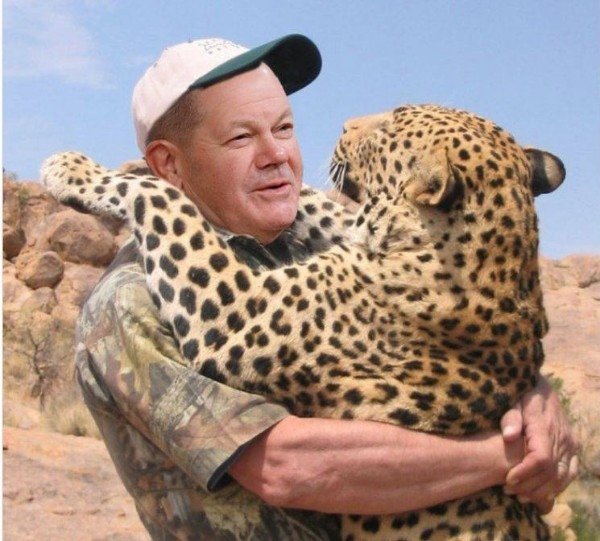 Тигры и леопарды