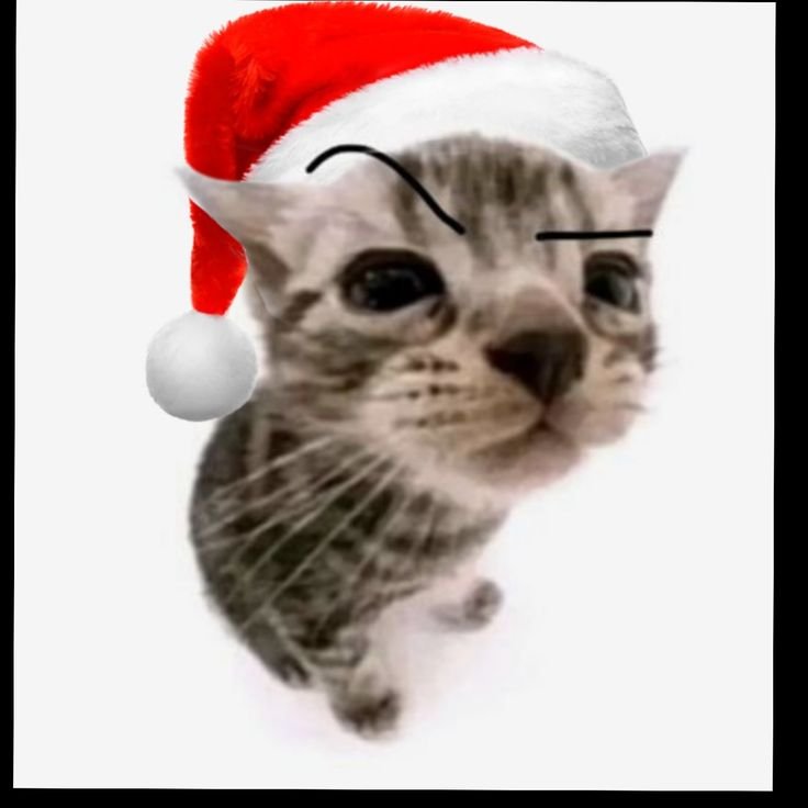 Новогодний кот ава