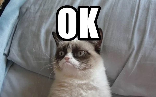 Котик одобряет